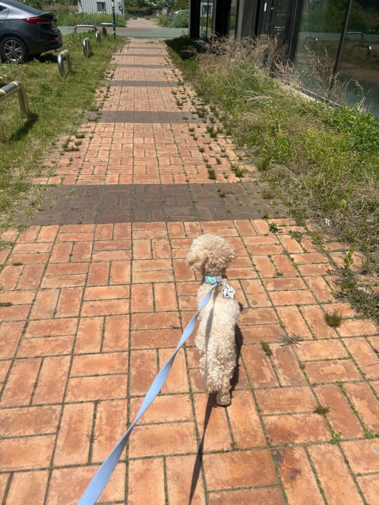게시글 등록 본문 사진